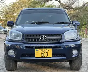 Toyota RAV4 2004 Blue