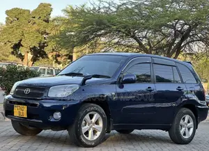 Toyota RAV4 2004 Blue