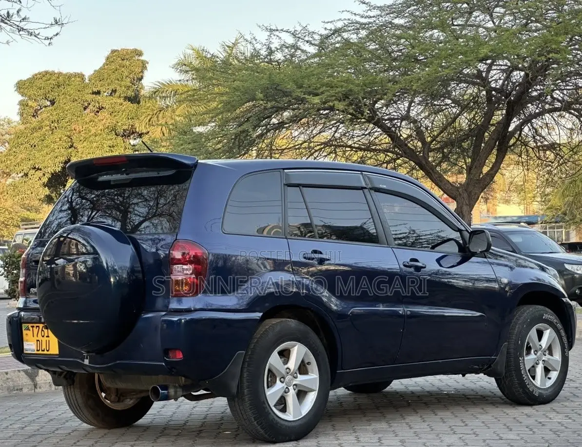 Toyota RAV4 2004 Blue