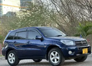 Toyota RAV4 2004 Blue