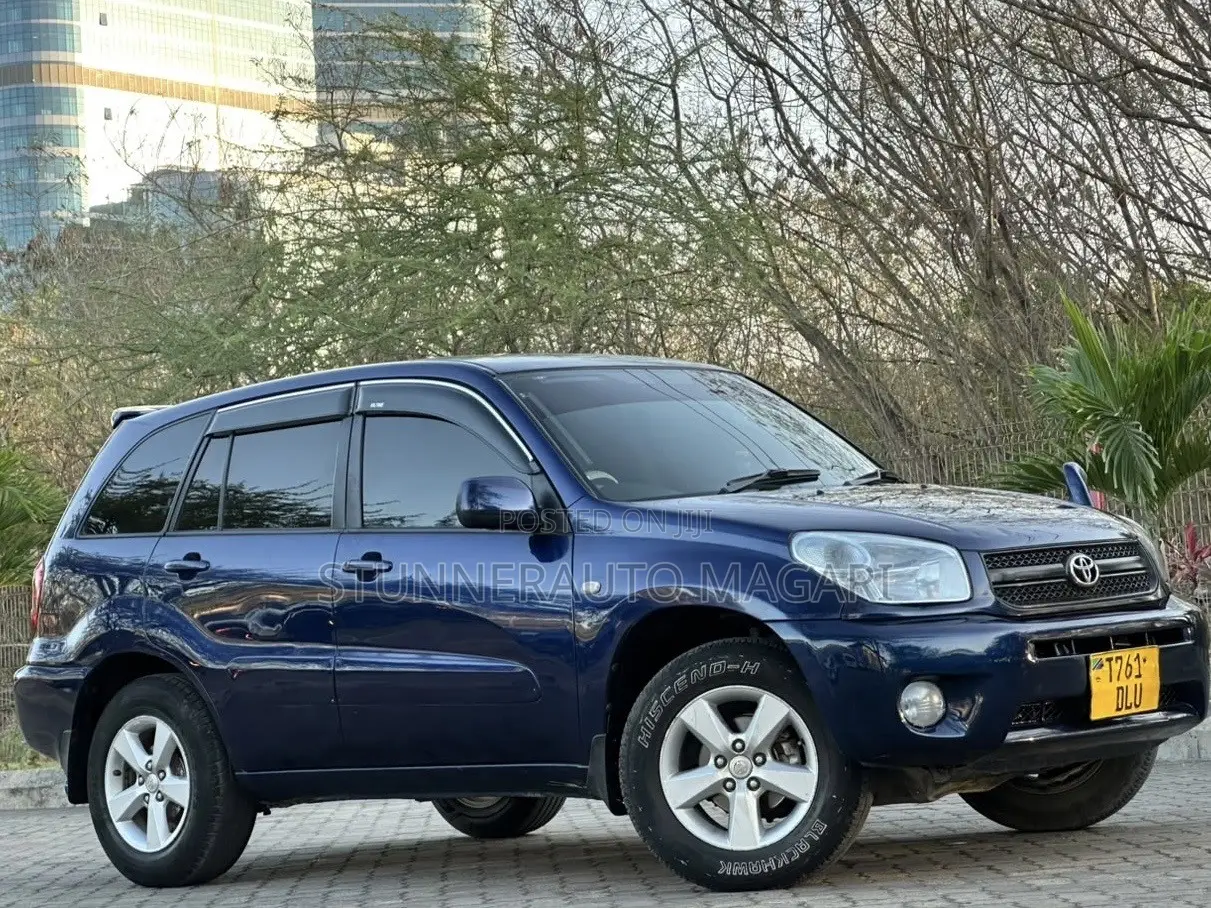Toyota RAV4 2004 Blue