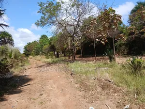 Beachplot Inauzwa Kigamboni Kimbiji