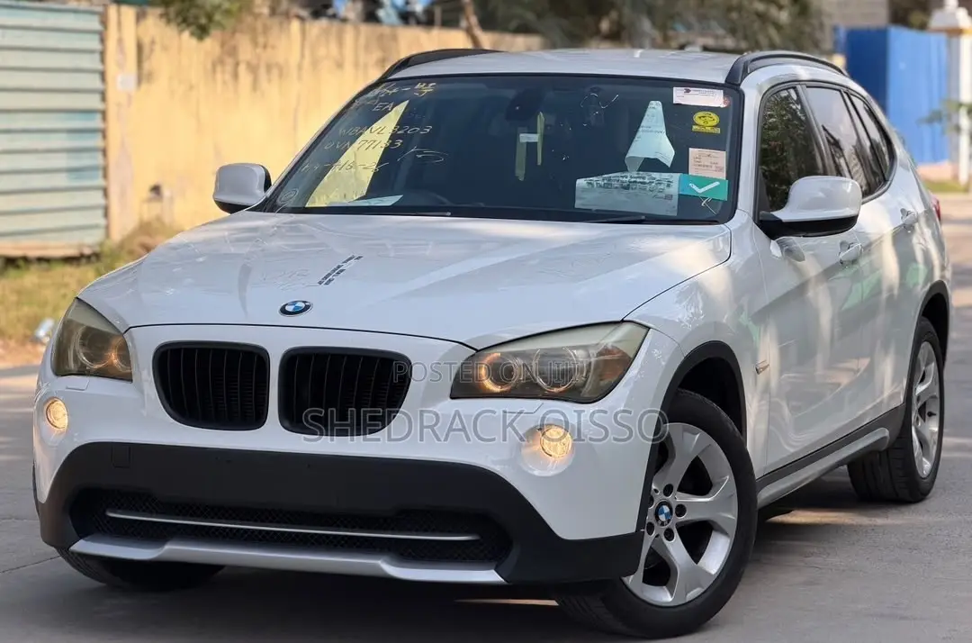 BMW X1 2010 White