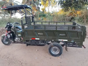 SINORAY SR250-ADV 2024 Green
