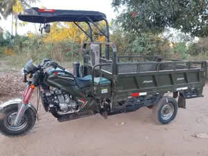 SINORAY SR250-ADV 2024 Green