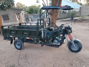SINORAY SR250-ADV 2024 Green