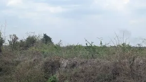 Heavy Industry Plot for Sale Kibaha Zegereni