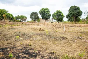 Pata Kiwanja Kwa Mkopo: Kibaha, Kigamboni, Bagamoyo Na Chanika