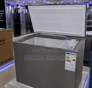 Hisense Freezer H250CFS(195L)