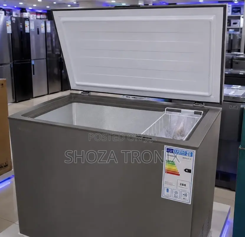 Hisense Freezer H250CFS(195L)