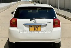 Toyota Allex 2003 Pearl