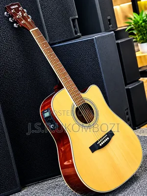 Acoustic Guitar Electric 6 Strings