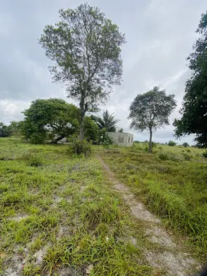 Plot for Sale Mkamba Mwasonga Kigamboni