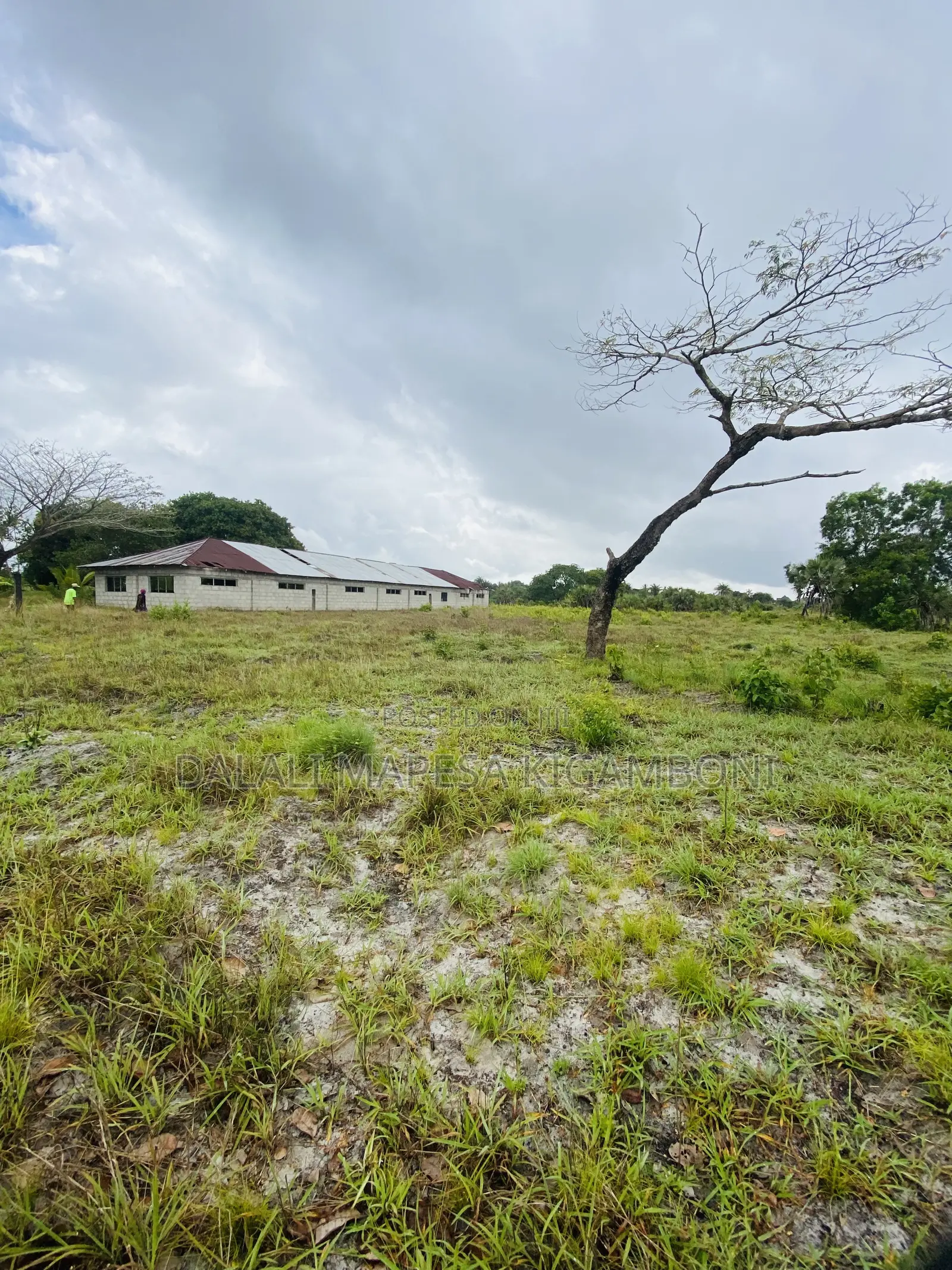 Plot for Sale Mkamba Mwasonga Kigamboni