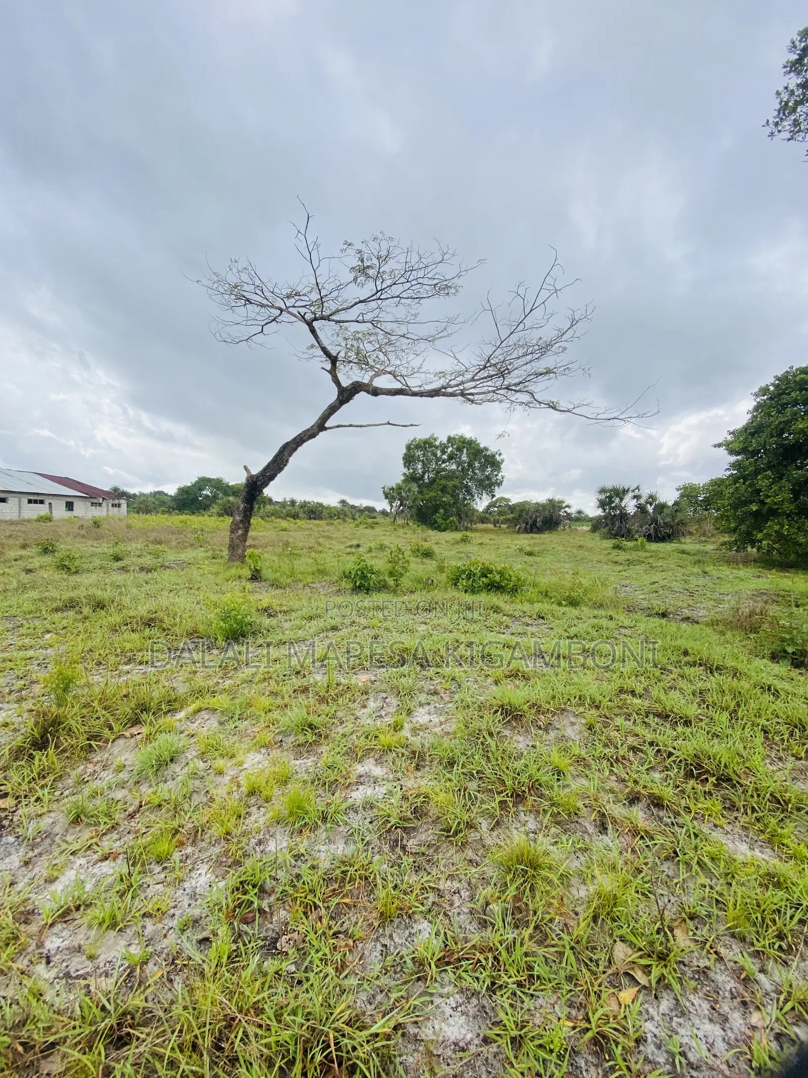 Plot for Sale Mkamba Mwasonga Kigamboni