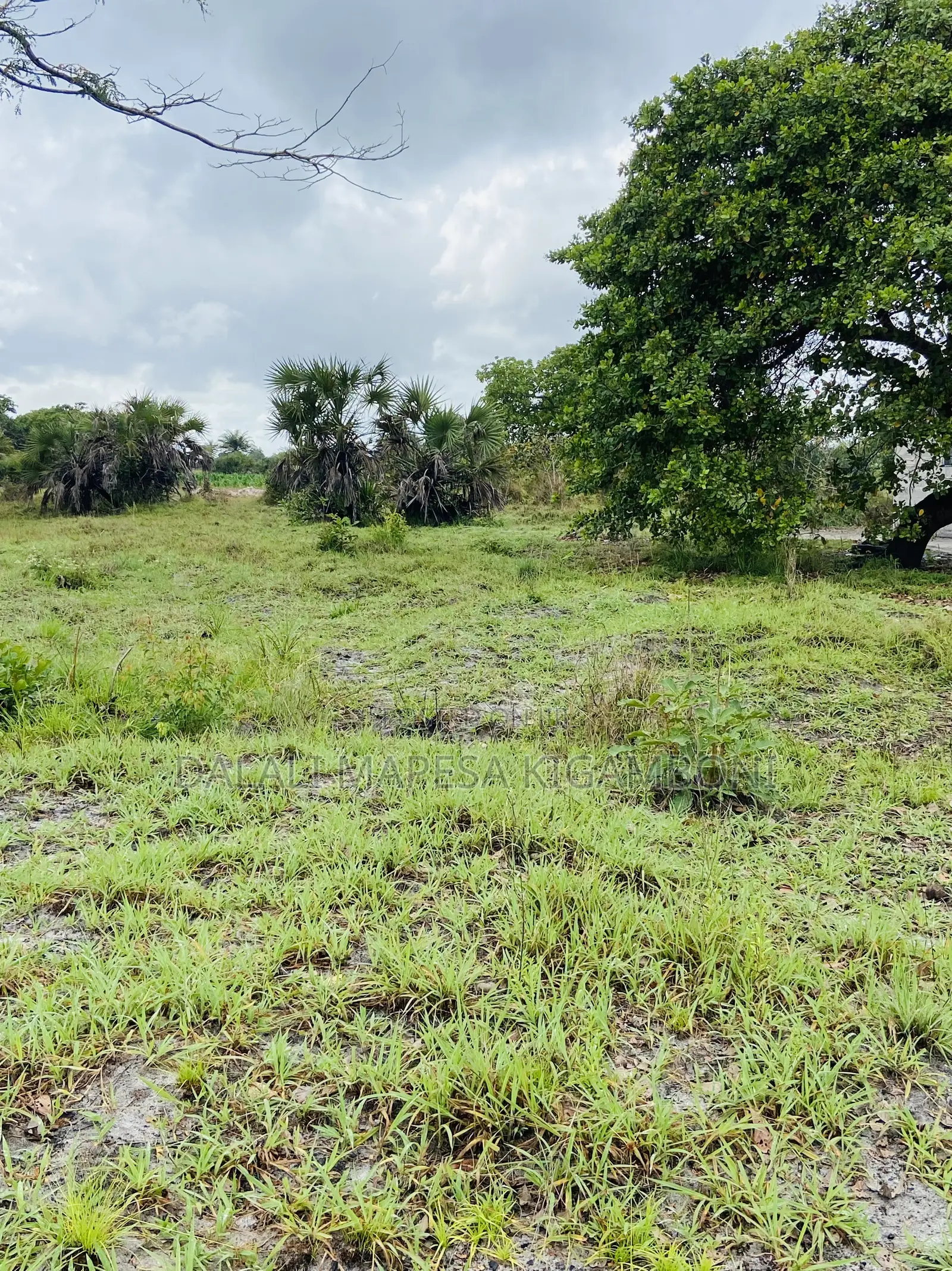 Plot for Sale Mkamba Mwasonga Kigamboni