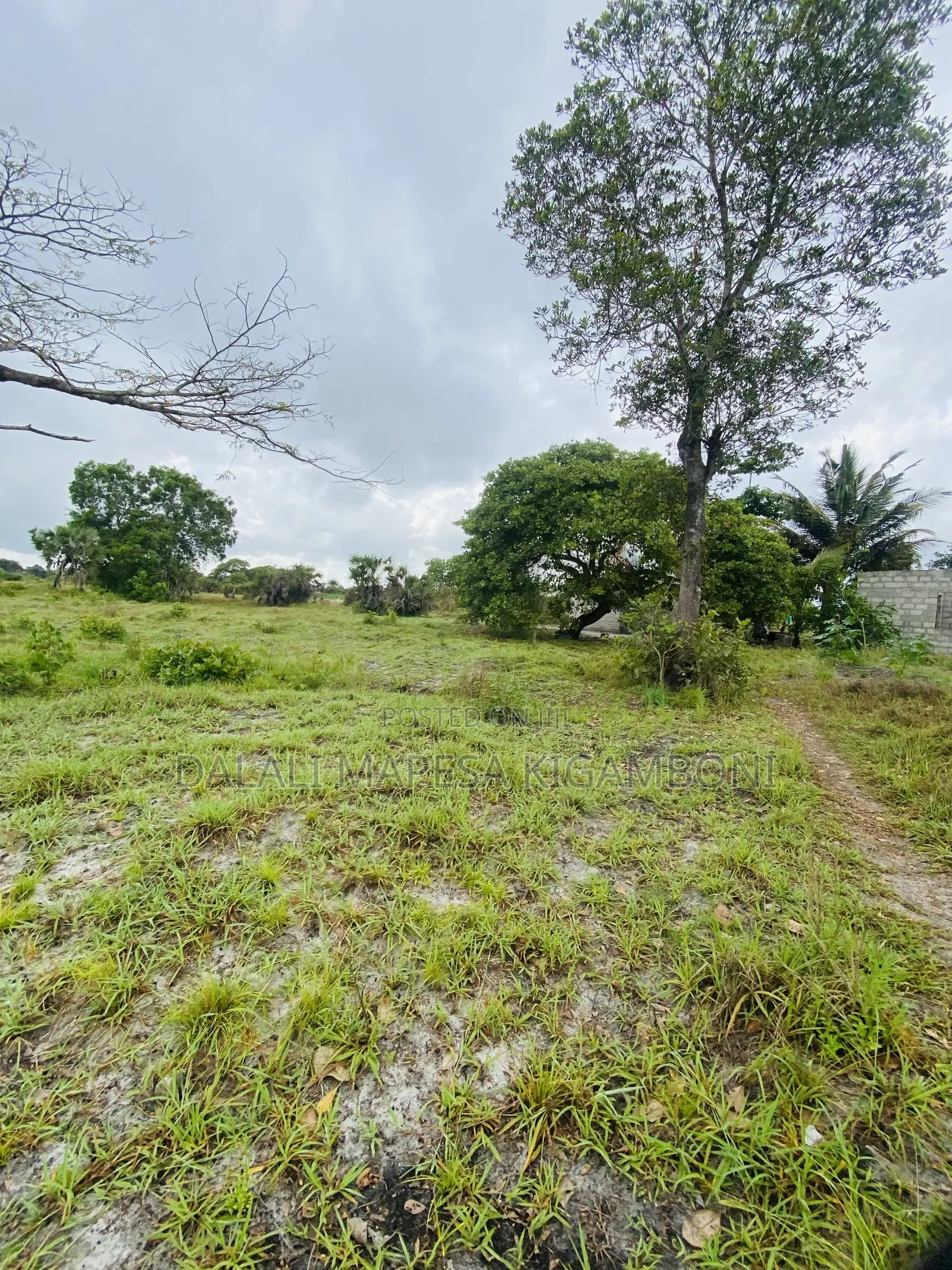 Plot for Sale Mkamba Mwasonga Kigamboni