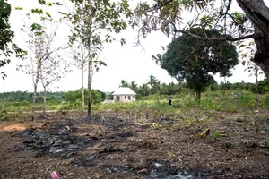 Mradi Mpya Bagamoyo Kilomo Shule Ya Msingi