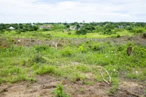 Mradi Mpya Bagamoyo Kilomo Shule Ya Msingi