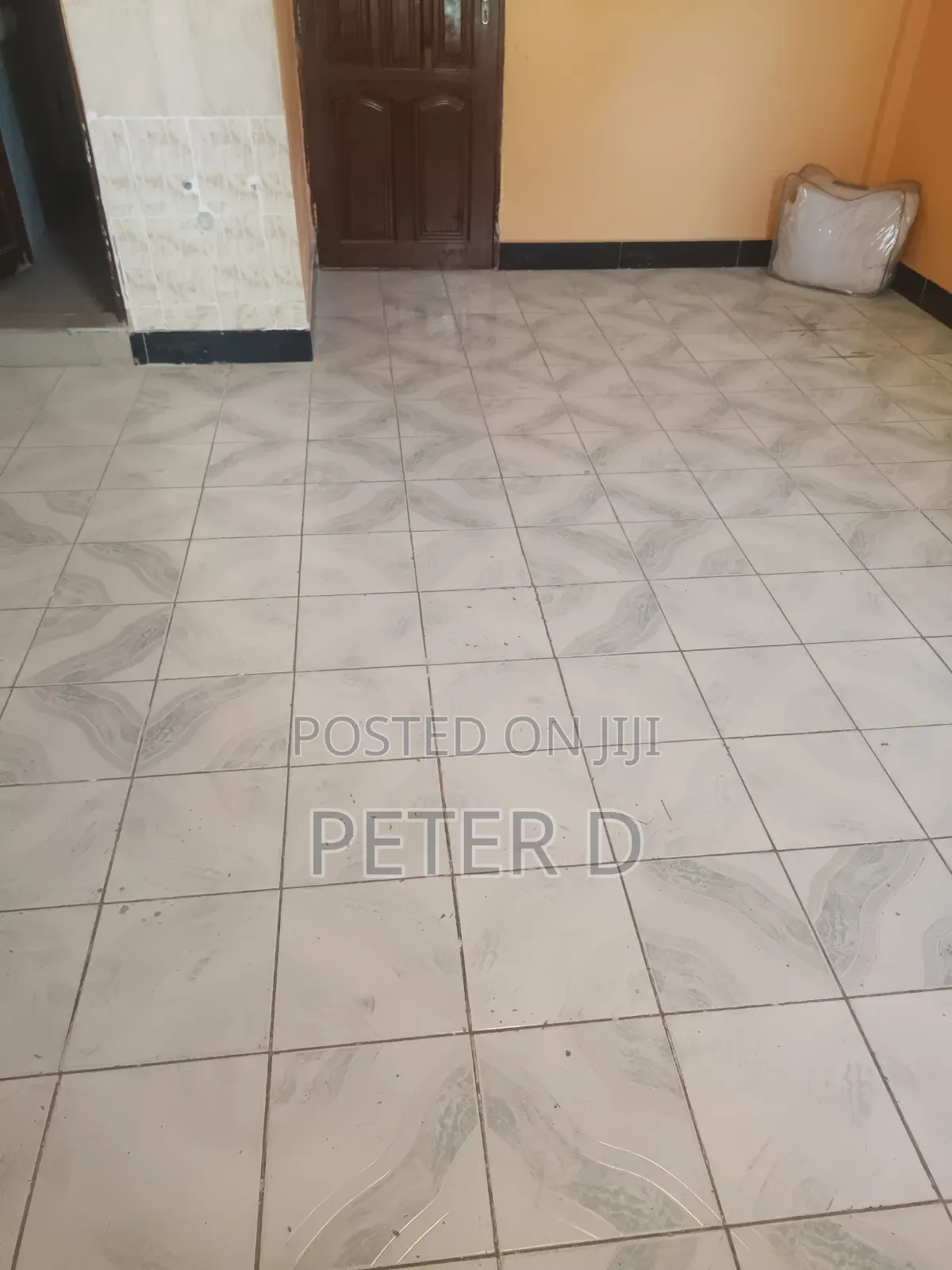 1bdrm Apartment in Kariakoo for rent