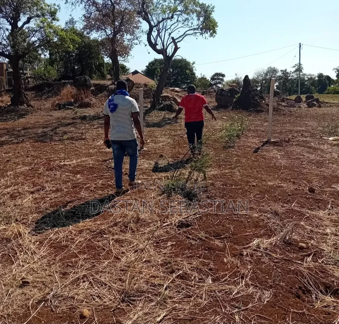 East Africa Road Kikwe, Nambala