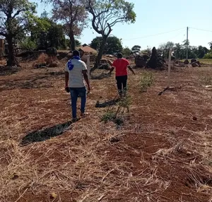 East Africa Road Kikwe, Nambala