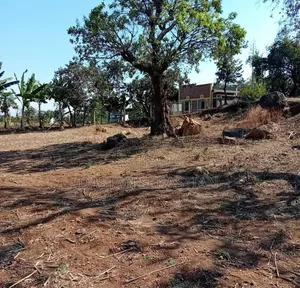 East Africa Road Kikwe, Nambala