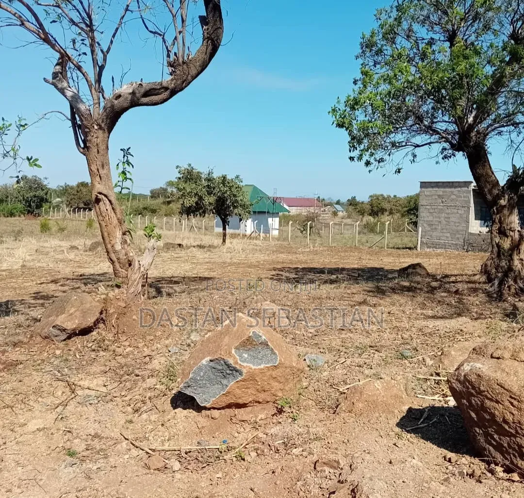 East Africa Road Kikwe, Nambala