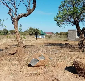 East Africa Road Kikwe, Nambala