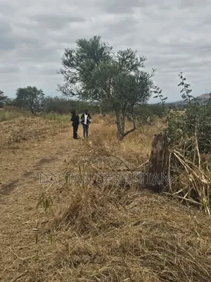 Kisongo Mradi Mpya Viwanja