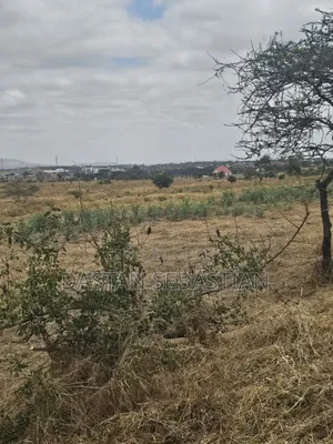 Kisongo Mradi Mpya Viwanja