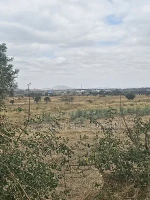 Kisongo Mradi Mpya Viwanja