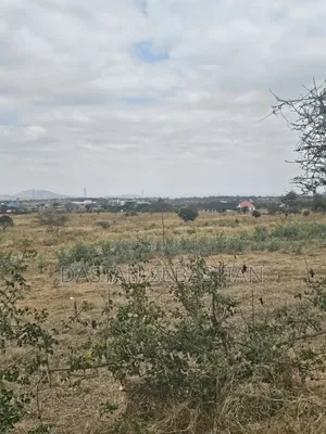 Kisongo Mradi Mpya Viwanja