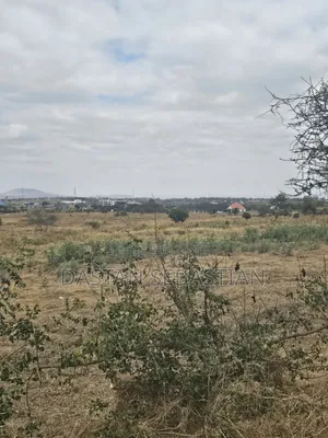 Kisongo Mradi Mpya Viwanja