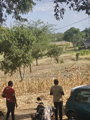 Ngaramtoni Viwanja Bei Rahisi