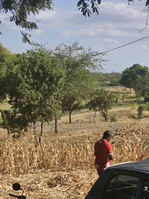 Ngaramtoni Viwanja Bei Rahisi