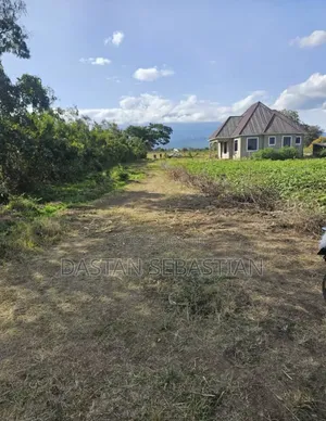 Pata Viwanja Nelson Mandela Na Usariver