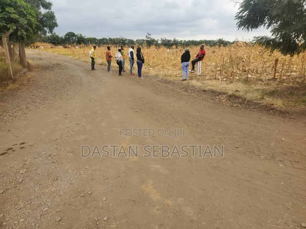 Boma Ng'ombe Hai Viwanja Bei Nafuu