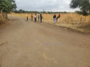 Boma Ng'ombe Hai Viwanja Bei Nafuu