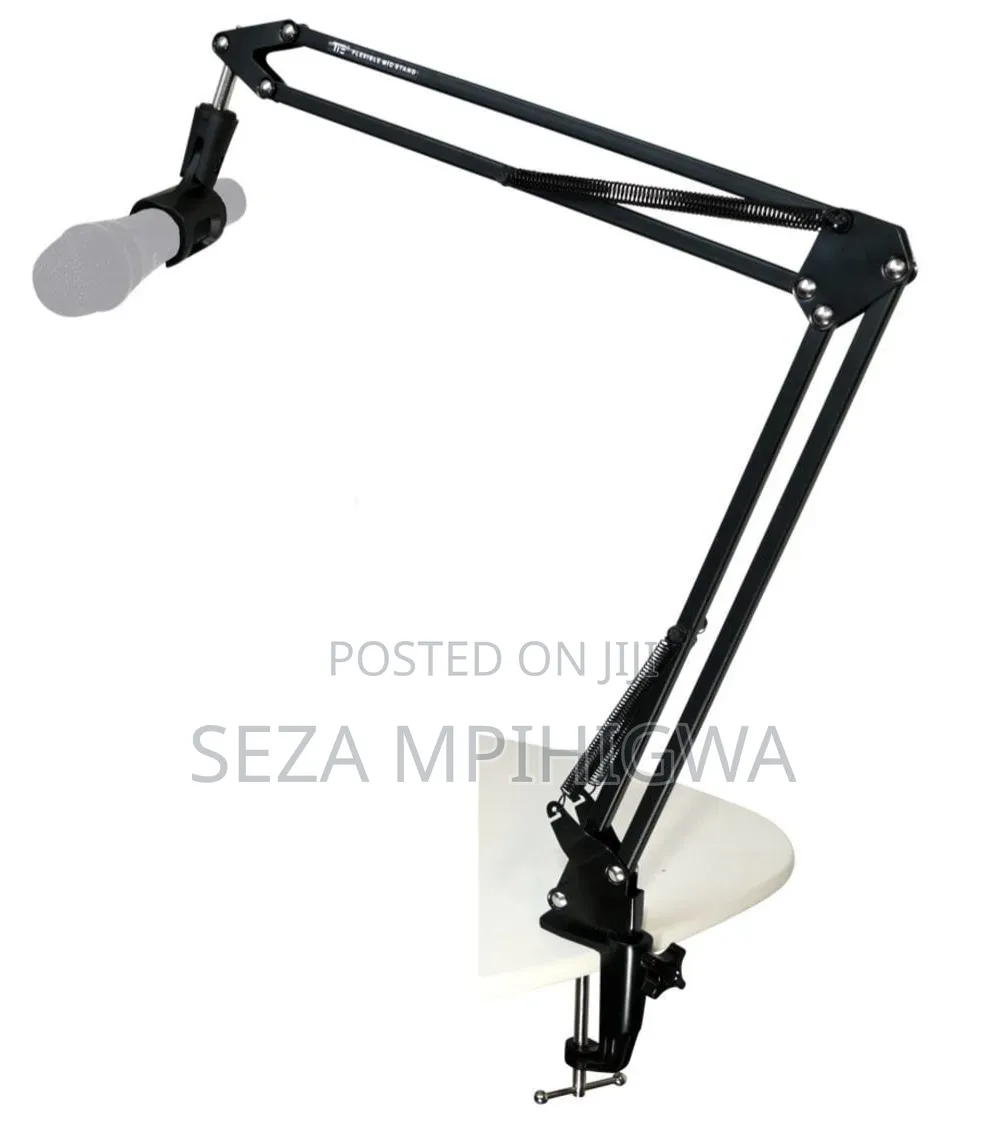 Adjustable Microphone Boom Arm Stand (