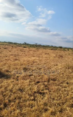 Viwanja Morombo Stend Mpya Inapojengwa