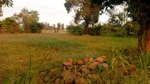 Kiwanja Kilimanjaro (Moshi) Mailisita