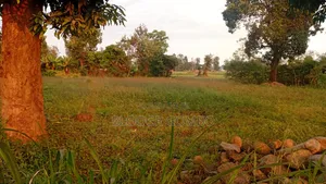 Kiwanja Kilimanjaro (Moshi) Mailisita