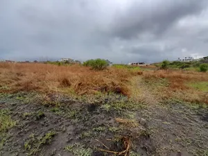 Kiwanja Kinauzwa Kigamboni Kibada