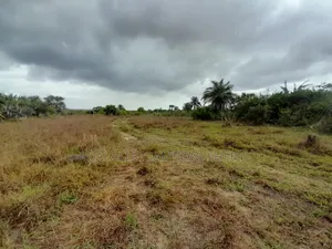 Viwanja Vinauzwa Kigamboni Kisarawe 2