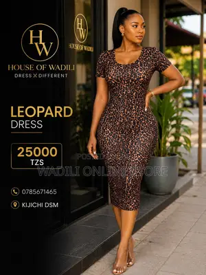 Leopard New Dress