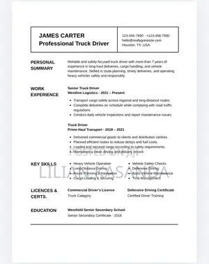 Professional CV - Dereva, Mwalimu, Hotel - PDF