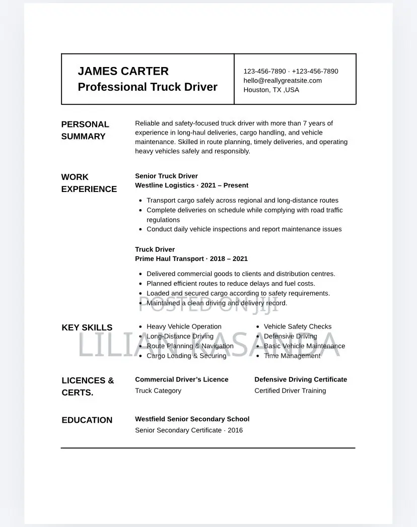 Professional CV - Dereva, Mwalimu, Hotel - PDF