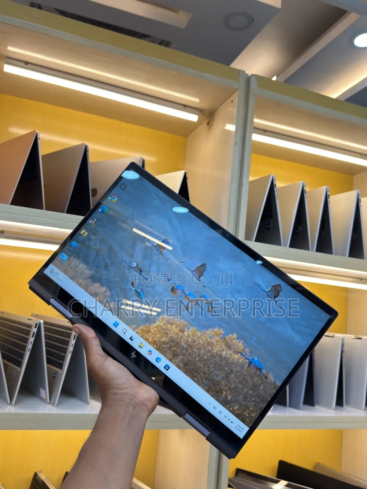 Laptop HP Envy x360 8GB AMD Ryzen 5 SSD 512GB