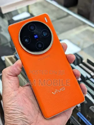 Vivo X100 Pro 1 TB